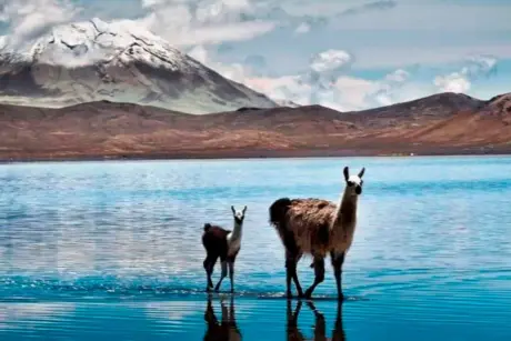 tour arequipa salinas aguada blanca kusky travel